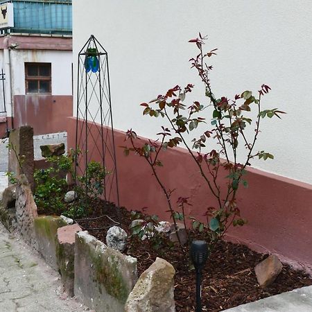 Le Gite Des Sources: Nature, Randonnees, Detente. Oberbronn Zewnętrze zdjęcie